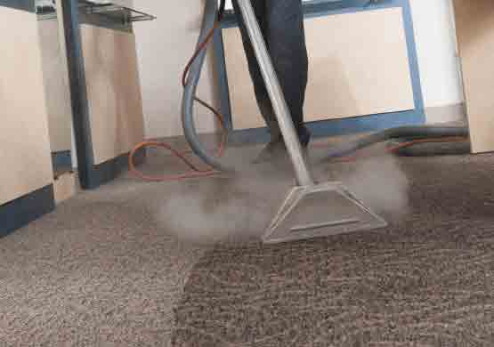 Best Carpet Cleaning Homebush